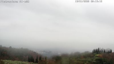 immagine della webcam nei dintorni di Campigna: webcam Reggello