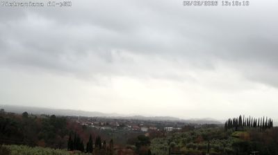 immagine della webcam nei dintorni di Pratovecchio: webcam Reggello