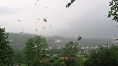 immagine della webcam nei dintorni di Aviano: webcam Pieve d'Alpago