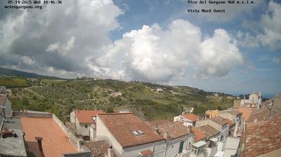 webcam