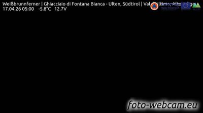 immagine della webcam nei dintorni di Cogolo: webcam Martello