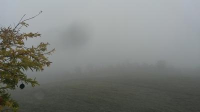 immagine della webcam nei dintorni di Calestano: webcam Fornovo di Taro