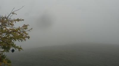 immagine della webcam nei dintorni di Salsomaggiore Terme: webcam Fornovo di Taro