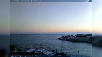 webcam