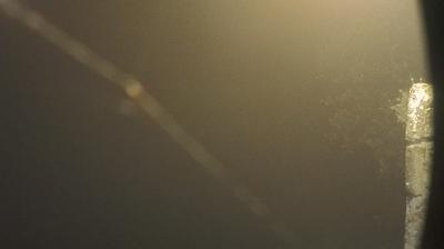 immagine della webcam nei dintorni di Orte: webcam Lubriano