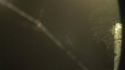 immagine della webcam nei dintorni di Ischia di Castro: webcam Lubriano