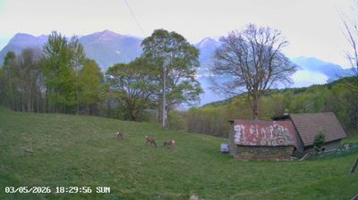 immagine della webcam nei dintorni di Pianello del Lario: webcam Sant'Abbondio
