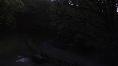 immagine della webcam nei dintorni di Londa: webcam Campigna