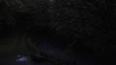 immagine della webcam nei dintorni di Stia: webcam Campigna
