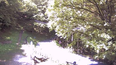 immagine della webcam nei dintorni di Ridracoli: webcam Campigna