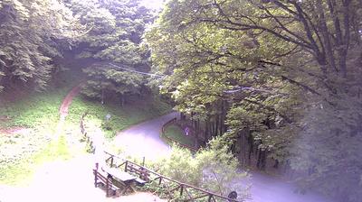 immagine della webcam nei dintorni di San Benedetto in Alpe: webcam Campigna