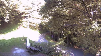immagine della webcam nei dintorni di Ortignano Raggiolo: webcam Campigna