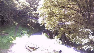 immagine della webcam nei dintorni di Reggello: webcam Campigna