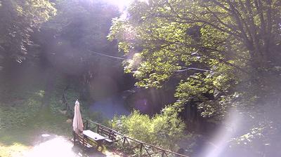 immagine della webcam nei dintorni di Pratovecchio: webcam Campigna