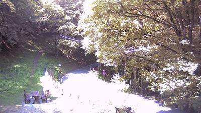 immagine della webcam nei dintorni di Portico e San Benedetto: webcam Santa Sofia