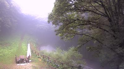 immagine della webcam nei dintorni di Santa Sofia: webcam Campigna