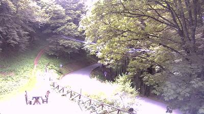 immagine della webcam nei dintorni di Pontassieve: webcam Campigna