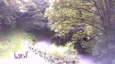 immagine della webcam nei dintorni di Pontassieve: webcam Campigna
