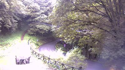 immagine della webcam nei dintorni di Vallombrosa: webcam Campigna