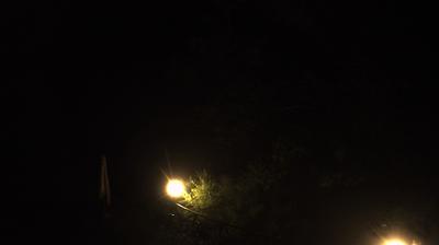 immagine della webcam nei dintorni di Vallombrosa: webcam Campigna