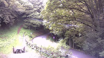 immagine della webcam nei dintorni di Mercato: webcam Santa Sofia