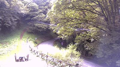 immagine della webcam nei dintorni di Pontassieve: webcam Campigna
