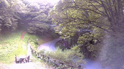 immagine della webcam nei dintorni di Cusercoli: webcam Santa Sofia
