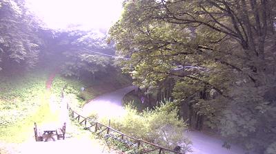immagine della webcam nei dintorni di San Benedetto in Alpe: webcam Campigna