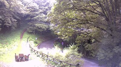 immagine della webcam nei dintorni di Chitignano: webcam Campigna