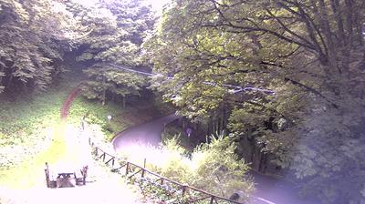 immagine della webcam nei dintorni di Bibbiena: webcam Campigna