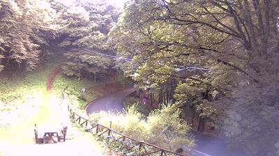 immagine della webcam nei dintorni di Chiusi della Verna: webcam Campigna