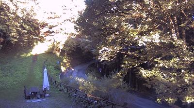 immagine della webcam nei dintorni di Ortignano Raggiolo: webcam Campigna