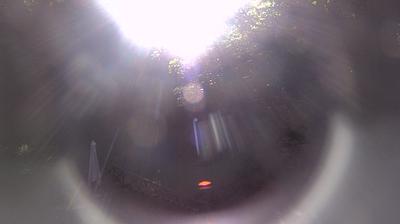 immagine della webcam nei dintorni di Pian di Sco': webcam Campigna