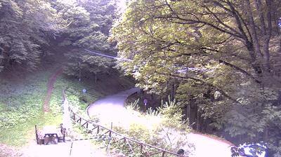 immagine della webcam nei dintorni di San Benedetto in Alpe: webcam Campigna