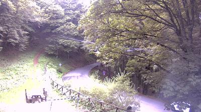 immagine della webcam nei dintorni di Sieci: webcam Campigna