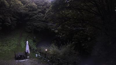 immagine della webcam nei dintorni di Ridracoli: webcam Campigna
