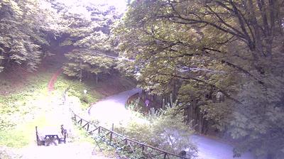 immagine della webcam nei dintorni di Civitella di Romagna: webcam Santa Sofia