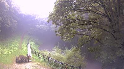 immagine della webcam nei dintorni di Figline Valdarno: webcam Campigna
