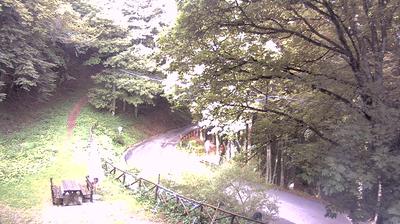 immagine della webcam nei dintorni di Firenzuola: webcam Campigna