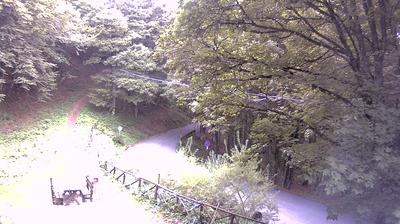 immagine della webcam nei dintorni di Pontassieve: webcam Campigna