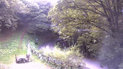 immagine della webcam nei dintorni di Palazzuolo sul Senio: webcam Campigna