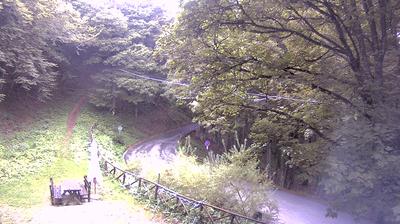 immagine della webcam nei dintorni di Chitignano: webcam Campigna