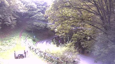 immagine della webcam nei dintorni di Bibbiena: webcam Campigna