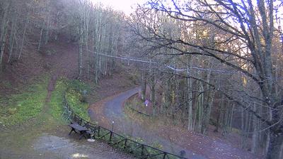 immagine della webcam nei dintorni di Pontassieve: webcam Campigna