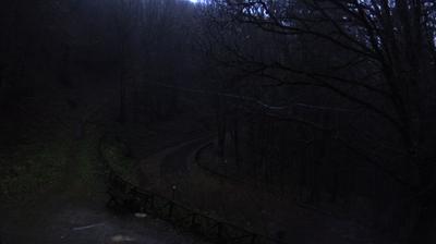 immagine della webcam nei dintorni di Pelago: webcam Campigna