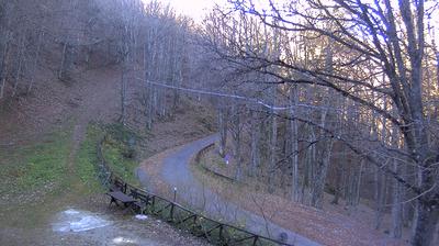 immagine della webcam nei dintorni di Reggello: webcam Campigna