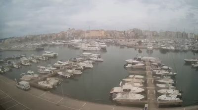 immagine della webcam nei dintorni di Sabaudia: webcam Nettuno