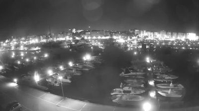 immagine della webcam nei dintorni di Tor Tre Ponti: webcam Nettuno