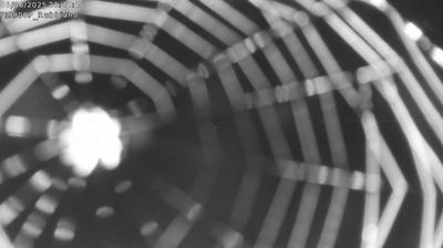 immagine della webcam nei dintorni di Corcagnano: webcam Fornovo di Taro