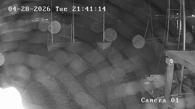 immagine della webcam nei dintorni di Marciana Marina: webcam Marina di Campo